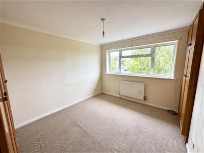 Picture 11